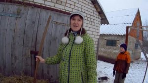 Как правильно ?кормить корову в запускеРацион коровы перед отёлом