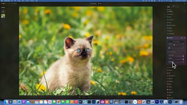 Luminar Neo. Blur background смотреть онлайн