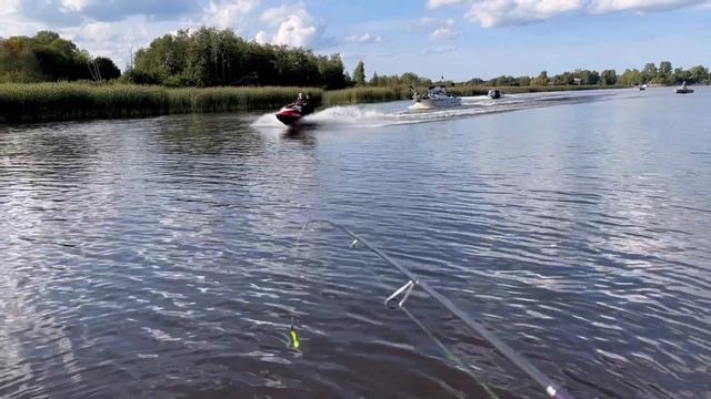 ?Ловим судачков! Джиг. Река Волхов 04.09.23?