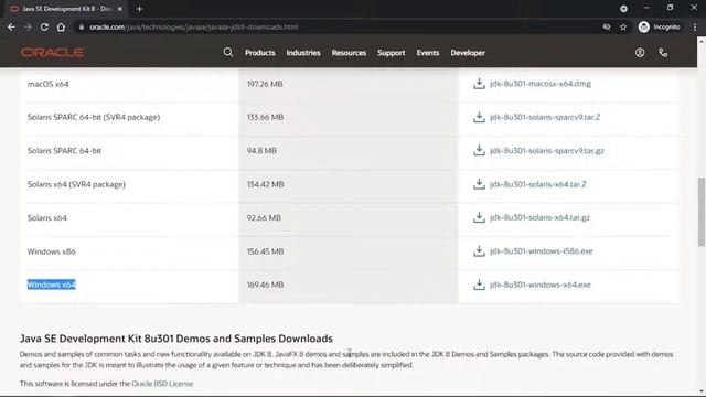 How to install Java on Windows 10? Step by Step Java Installation in 3 min with environment variabl