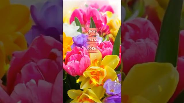 14 мая 2022 г. смотреть онлайн