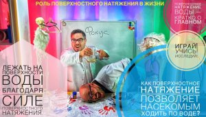 Физики 7 класс. Свойства воды: поверхностное натяжение. Как насекомые ходит по воде?Научный фокус.