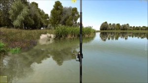 Головастик, ловля бонусной наживки в игре Trophy Fishing 2