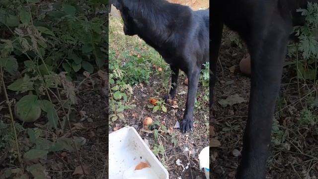 Да не оскудеет рука дающего смотреть онлайн