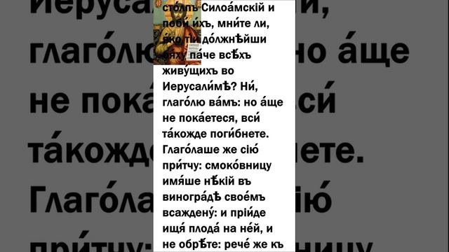 Евангелие дня 25 ноября 2021 года