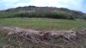 За травой! // Жизнь в деревне.