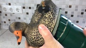 Лучший плавающий Махокрыл "Чужой"