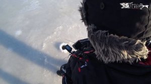 Ловля судака на вибы. Часть 1