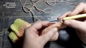 Шапочка для собаки спицами, DIY beanie for dog and cat