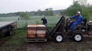 Первая загрузка пчел погрузчиком для пасеки.