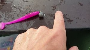 Надрал огромных судаков..супер рыбалка- летом