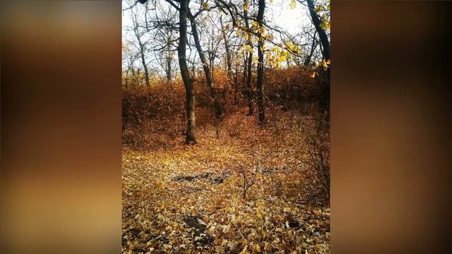 12 октября 2021 г. смотреть онлайн