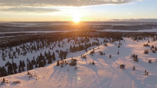 Волк не мог смотреть как девушка умирает, он решился её спасти... смотреть онлайн