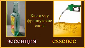 Как я учу французские слова: эссенция - essence