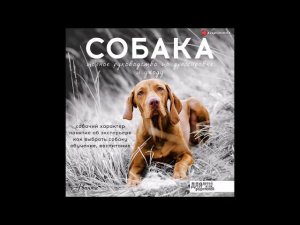 #Аудионовинка| Алексей Целлариус «Собака. Полное руководство по дрессировке и уходу»