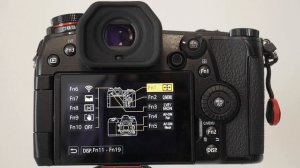 Panasonic Lumix G9 Setup and Settings