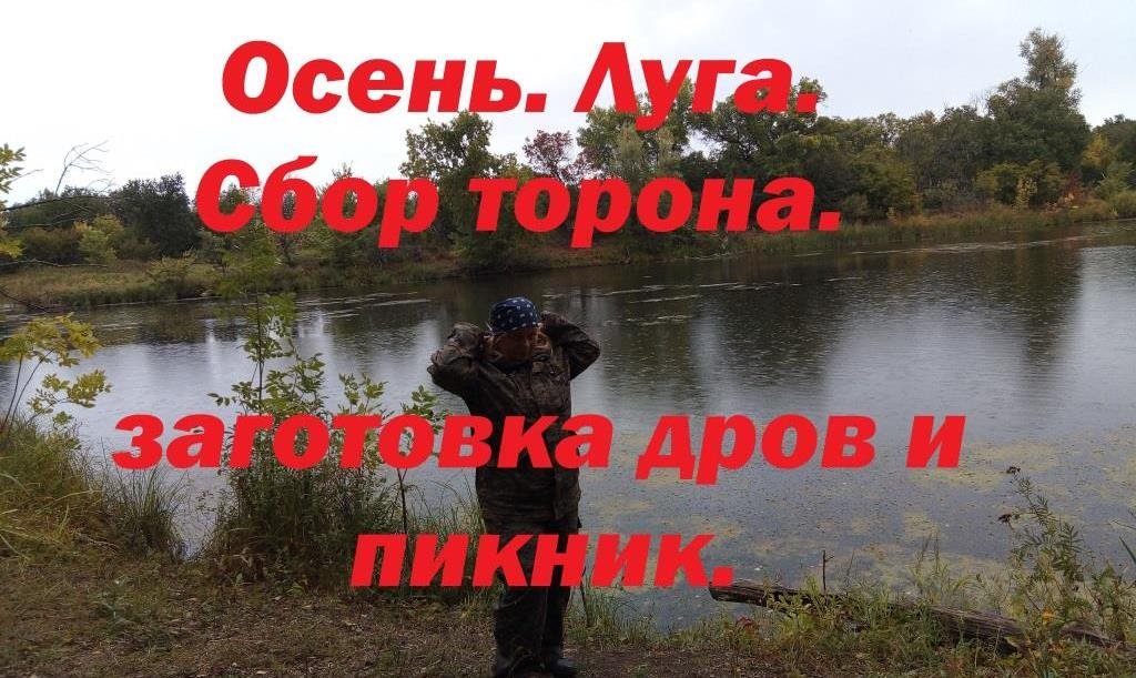Осень. Луга. Сбор торона, заготовка дров и пикник..mp4