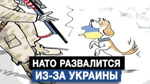 НАТО развалится из-за Украины