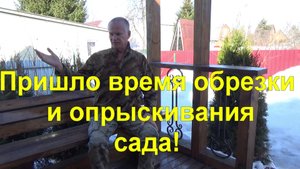 49. Не пропустите "голубое опрыскивание" и обрезку деревьев!