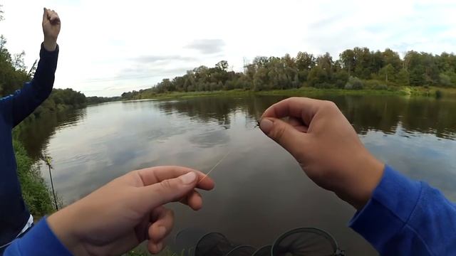 Ловля вечером на донные снасти - ПЕСКАРЬ ЗАДОЛБАЛ!) смотреть онлайн