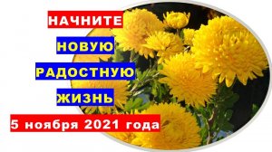 Начните новую радостную жизнь в Волшебное Новолуние 5 ноября 2021 года