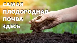 Как я повышаю плодородие земли после сбора урожая. Что сделать с грядкой осенью