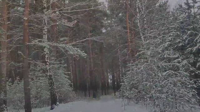 Снег.Лес.Сибирь. Вместе со снегом приходит и волшебство... смотреть онлайн