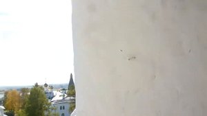 Колокольный звон на Рождество Пресвятой Богородицы 21 09 2015 в Иосифо Волоцком монастыре, 2 часть