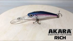 Воблер Akara Rich 60F