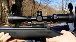 Diana 350 Magnum | BULLSEYE ZR-MOUNT | Slow motion