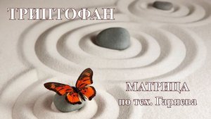 Триптофан?Лечебная Матрица по тех. Петра Гаряева?Tryptophan?Healing Matrix of Peter Garyaev