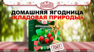 Домашняя ягодница "Кладовая природы", обзор, цена, купить.