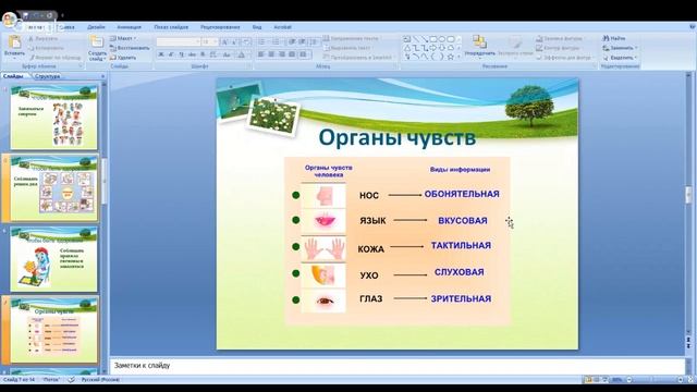 Окружающий мир 2 класс 4 неделя смотреть онлайн