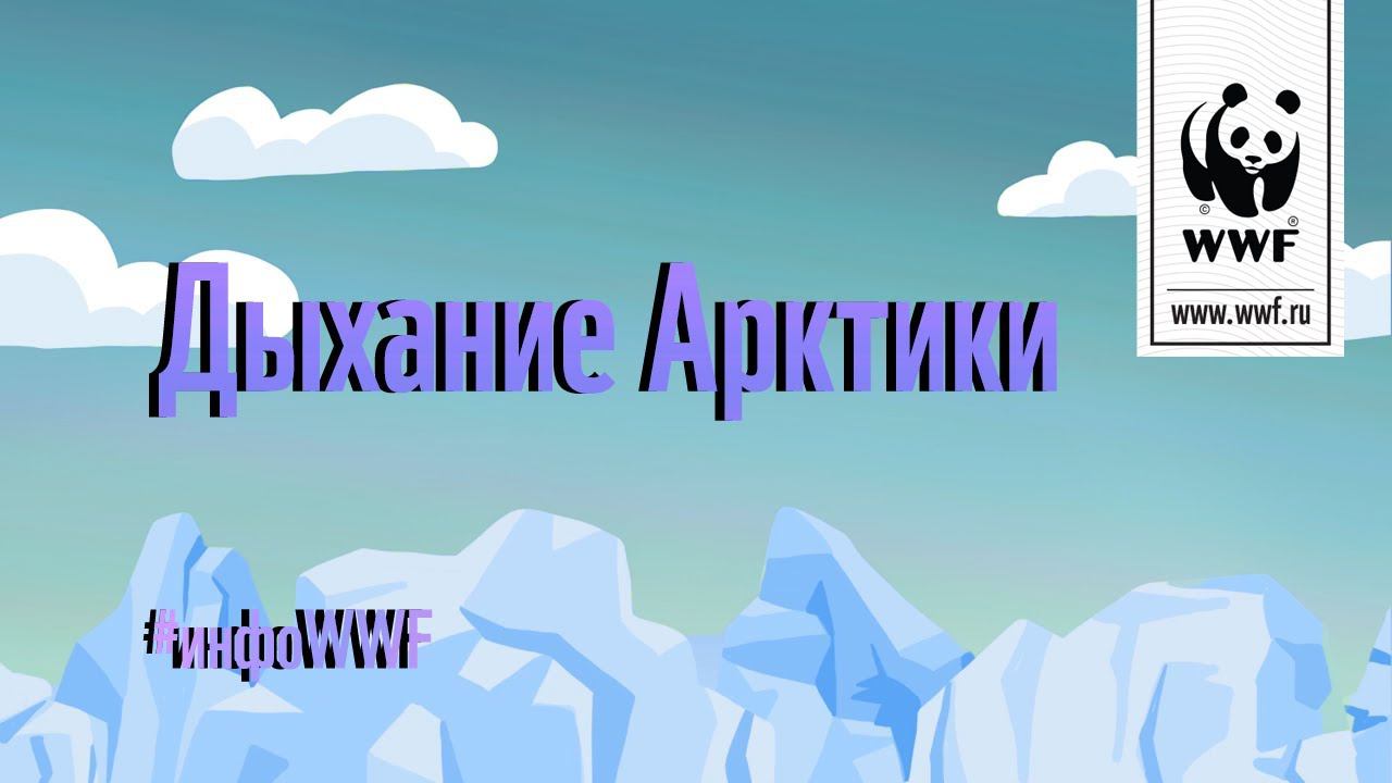 Андрей Шмакин Ледяное дыхание Арктики. Дыхание Арктики, р.е. Зорина.