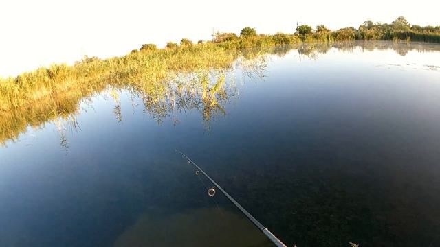 Щуку на спиннинг по траве, микро водоем. смотреть онлайн