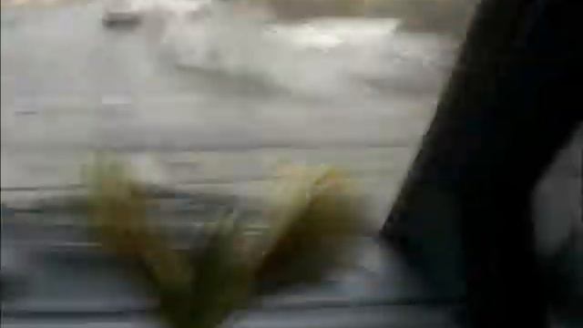 Amarillys смотреть онлайн