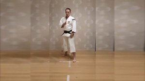 #9. Практика, техники, перемещения в Сёриндзи Кэмпо. Стремительное движение в бою.