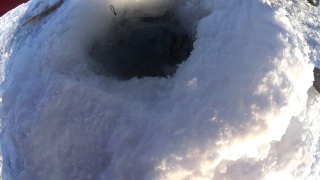 ТРОФЕЙНАЯ РЫБАЛКА.РЫБАЛКА НА КОМБАЙНЫ.ЛЕЩ.ЯЗЬ.