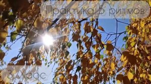 Танцевальная практика "5 ритмов"