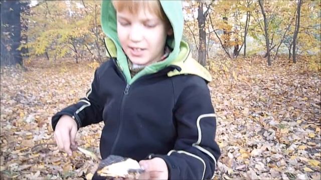 Зефирки на костре смотреть онлайн