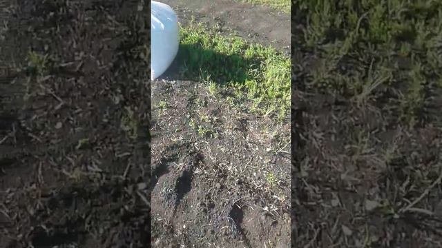селка ручной