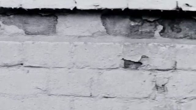 Хиль Э. Из фильма "Безразличие." смотреть онлайн