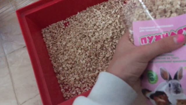 /МНЕ КУПИЛИ ХОМЯКА🥰/Покупки для Марсыка/Обстановка клетки🐹/ смотреть онлайн