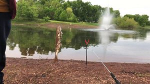 Lake Papaianni Fishing