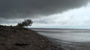 Ейский район - село Александровка - берег Ейского лимана.