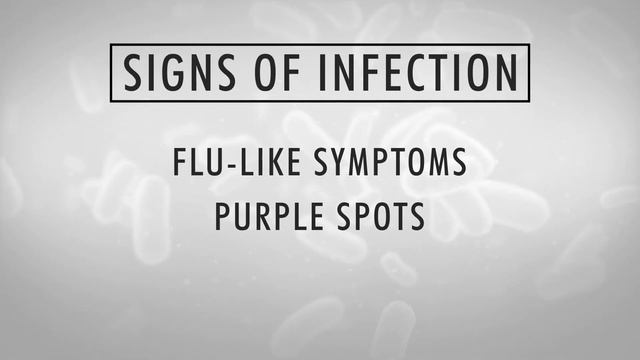 Man dies after being licked by dog смотреть онлайн