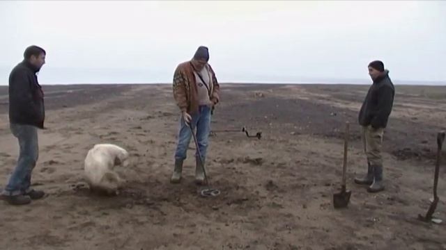 Minelab E-Trac XP DEUS Minelab GPX 4500 test смотреть онлайн