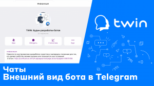 Twin. Настройка внешнего вида бота в Telegram