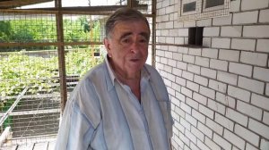 В гостях у Михаила Михайловича голубевода-селекционера.Николаевские голуби Донецка (3.07.21г)