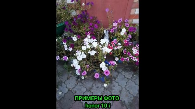 Redmi Note 8 pro VS honor 10i СРАВНЕНИЕ СМАРТФОНОВ// смотреть онлайн